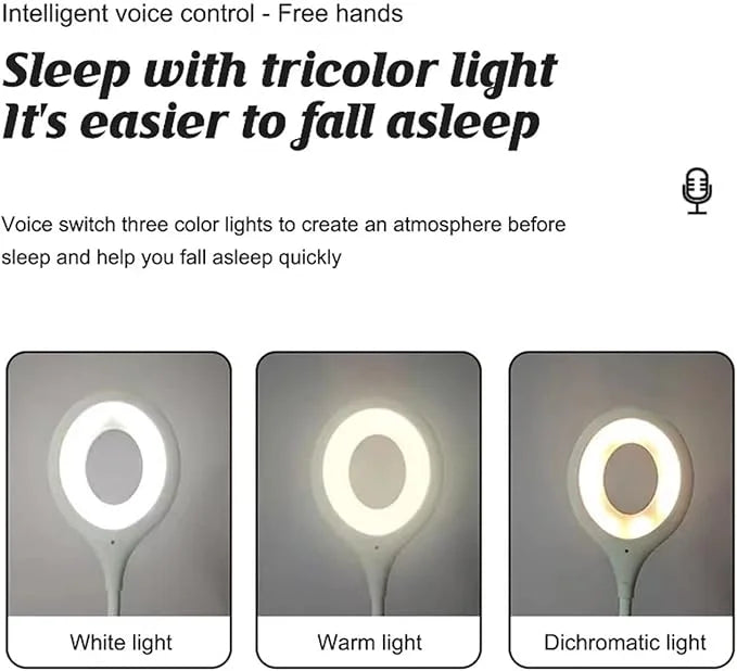Voice Control Intelligent Night Light