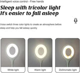 Voice Control Intelligent Night Light